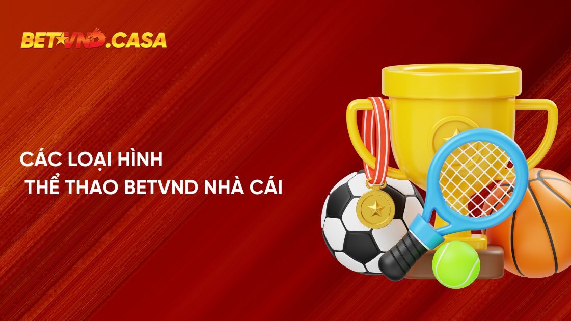 Các loại hình thể thao Betvnd nhà cái