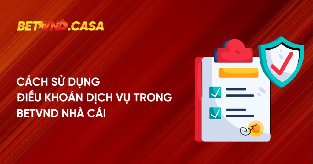 Cách sử dụng điều khoản dịch vụ trong Betvnd nhà cái